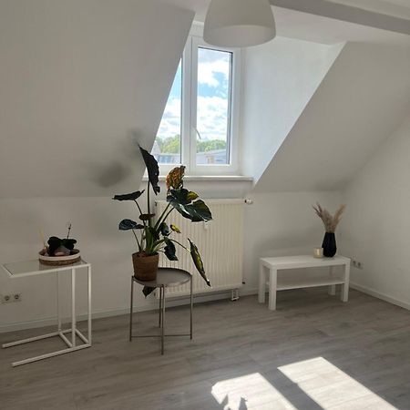 Cozy Work And Stay Pretty Home Chemnitz Exterior photo